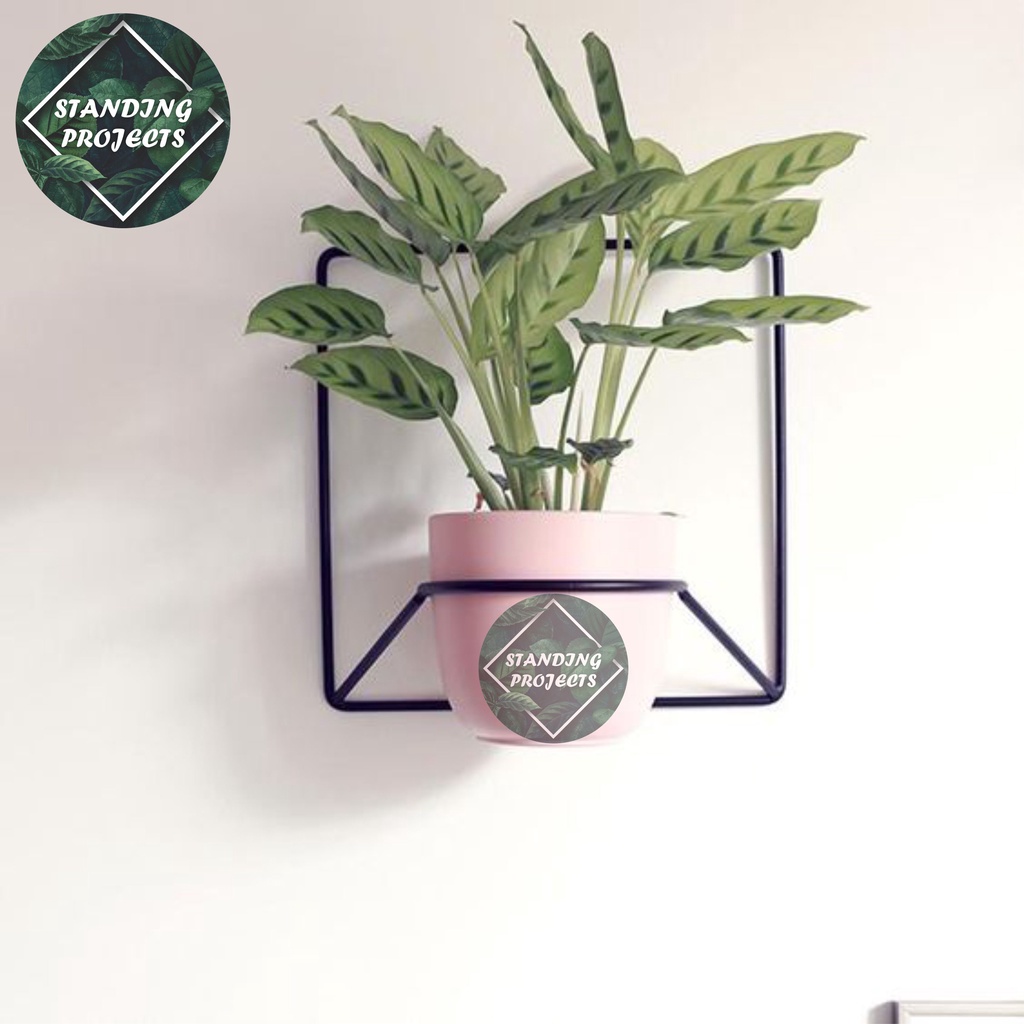 Gantungan Pot Dinding - Rak Pot Dinding - Pot