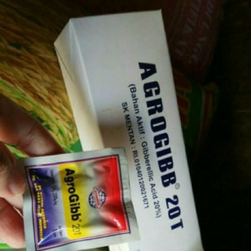 ZPT Agrogibb Tablet