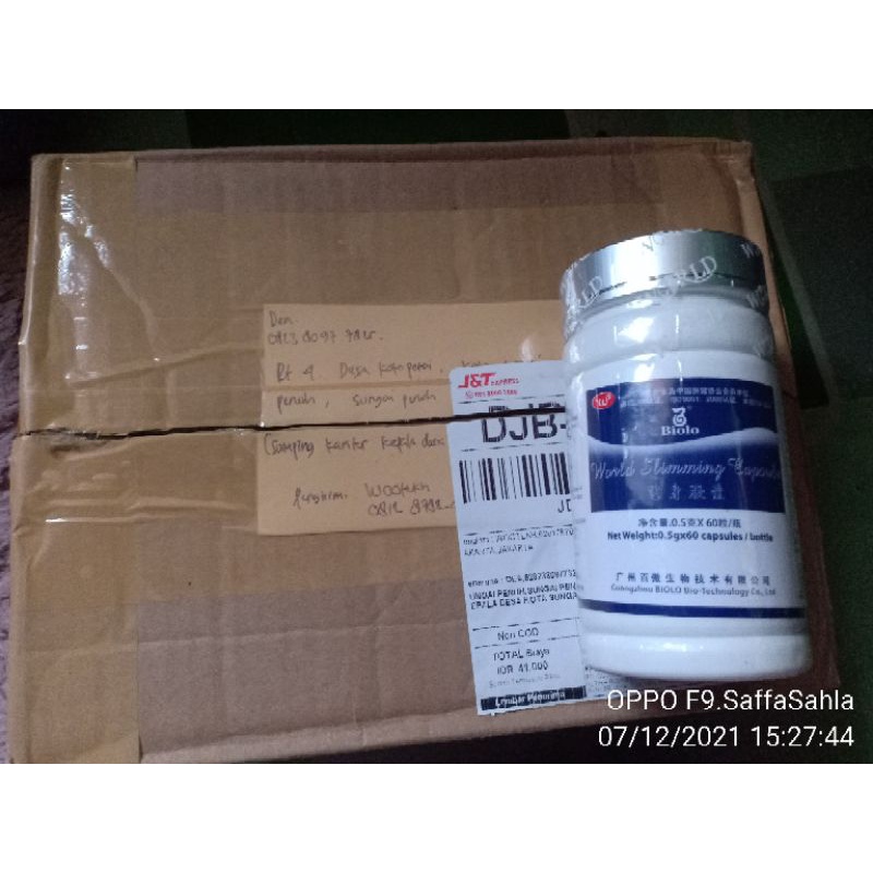 BIOLO WSC ORIGINAL IMPORT DR PT WOOTEKH STOKIS WOOTEKH SC 365 DEA KERINCI JAMBI