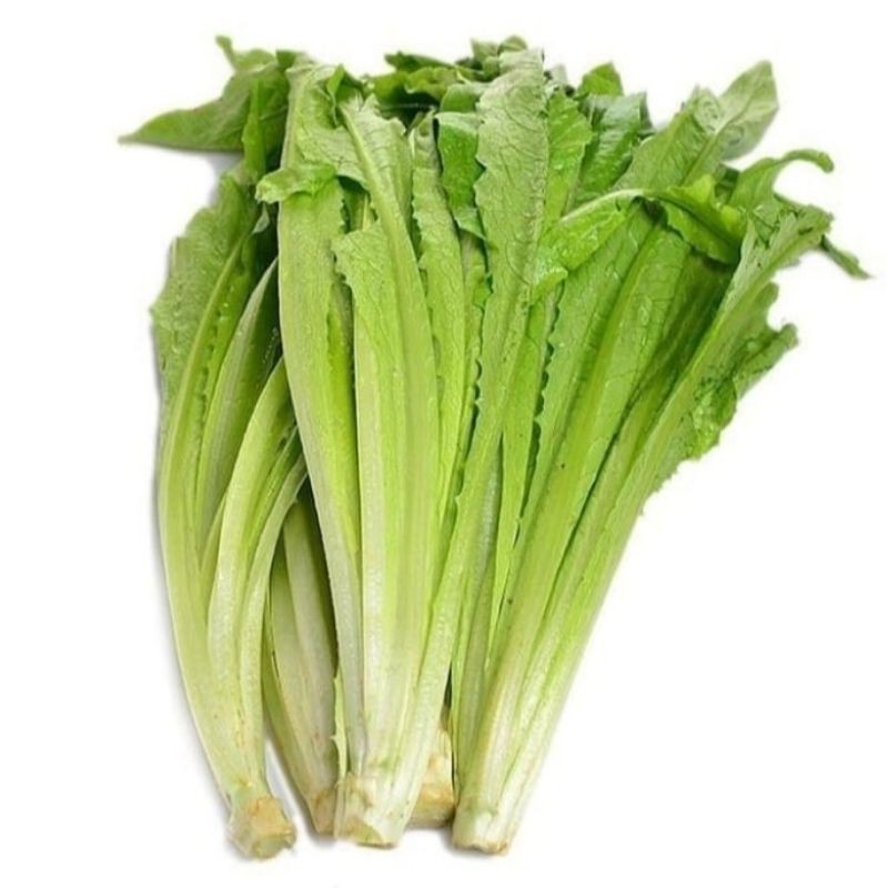 

siomak Fresh UK 1kg.