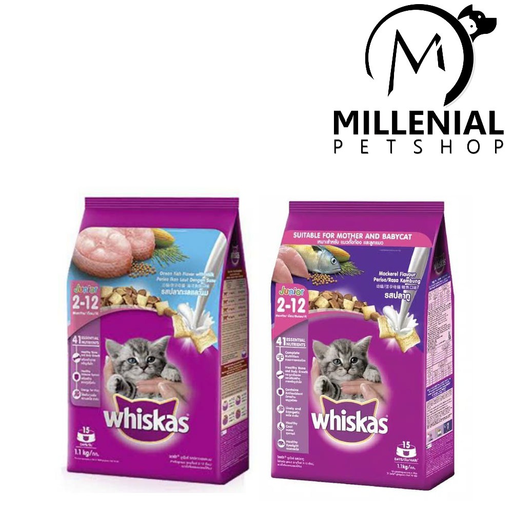 Jual Makanan Kucing Whiskas junior ocean fish 1.1 kg Whiskas junior