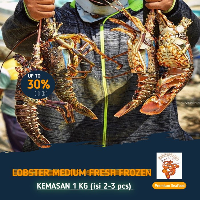 

FLASH SALE LOBSTER MEDIUM FRESH FROZEN 2-3 Pcs/Kg
