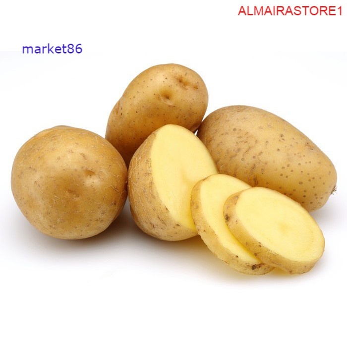 

Grosir Sayuran Segar Sayur FRESH Kentang 250 Gram - Market86