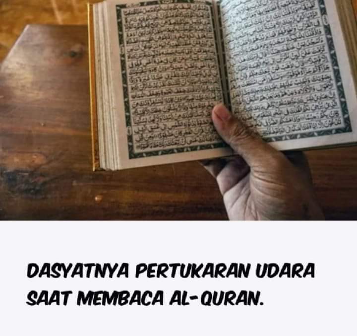 { Bayar Di Tempat } J20 - New! Pisau Dapur Ceramic Tajam Premium Termurah