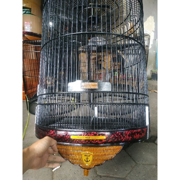 sangkar murai / kandang murai / sangkar burung / murai batu / pakan burung / vitamin burung / kerodo