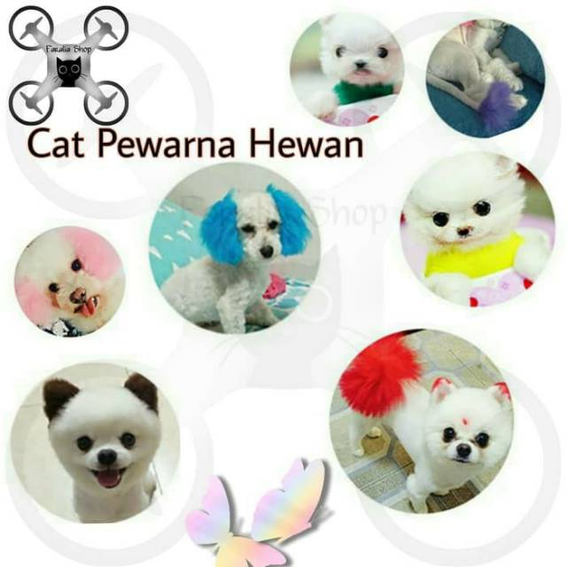 Semir Warna Rambut Bulu Anjing Kucing Pet Hair Coloring Aman Cat Dog Colouring