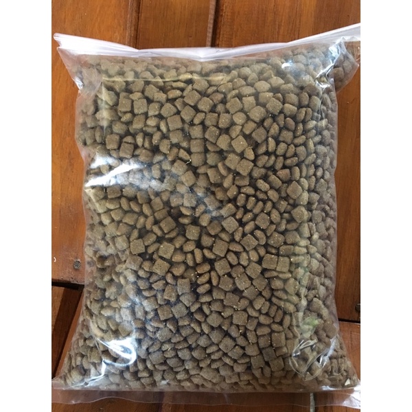 Makanan Kucing Ori Cat