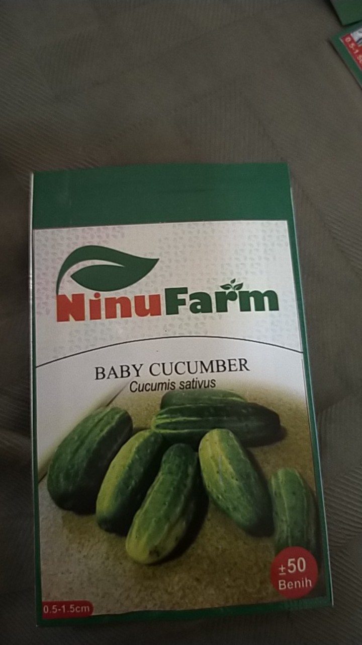 Benih Timun Lalap/baby Cucumber 50seeds