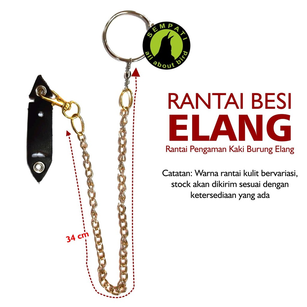 Rantai Bahan Kulit Untuk Kaki Burung Elang Kakatua Grey Parrot