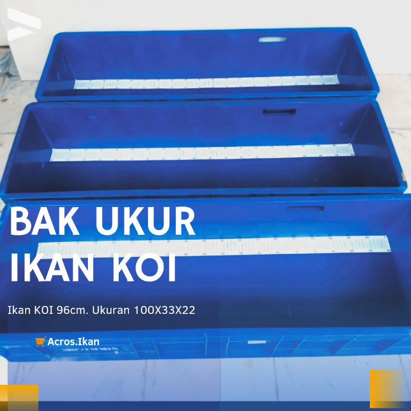 Bak Ukur Ikan Koi  96cm