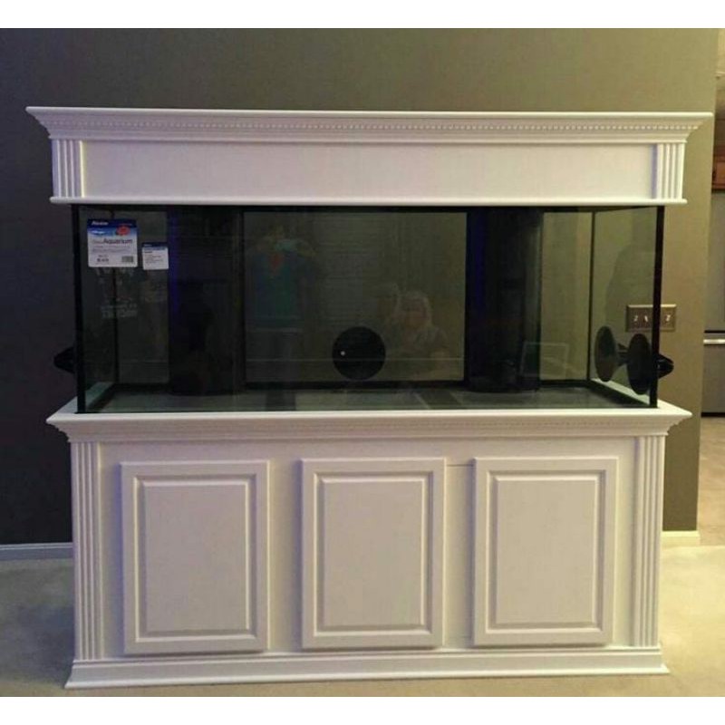 Aquarium minimalis