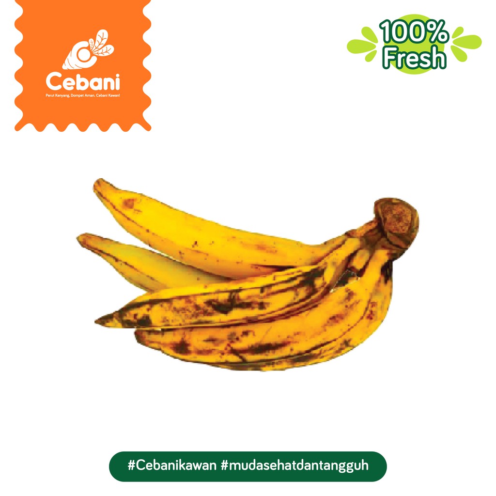

Pisang Tanduk 1pc Cebani