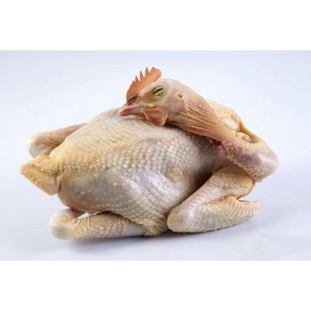 

Daging Ayam Kampung 500 gram