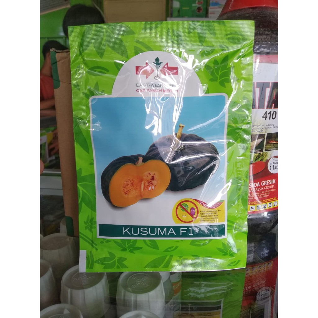 Benih Biji Waluh Kusuma Cap Panah Merah 95 Butir / Benih Waluh Kusuma