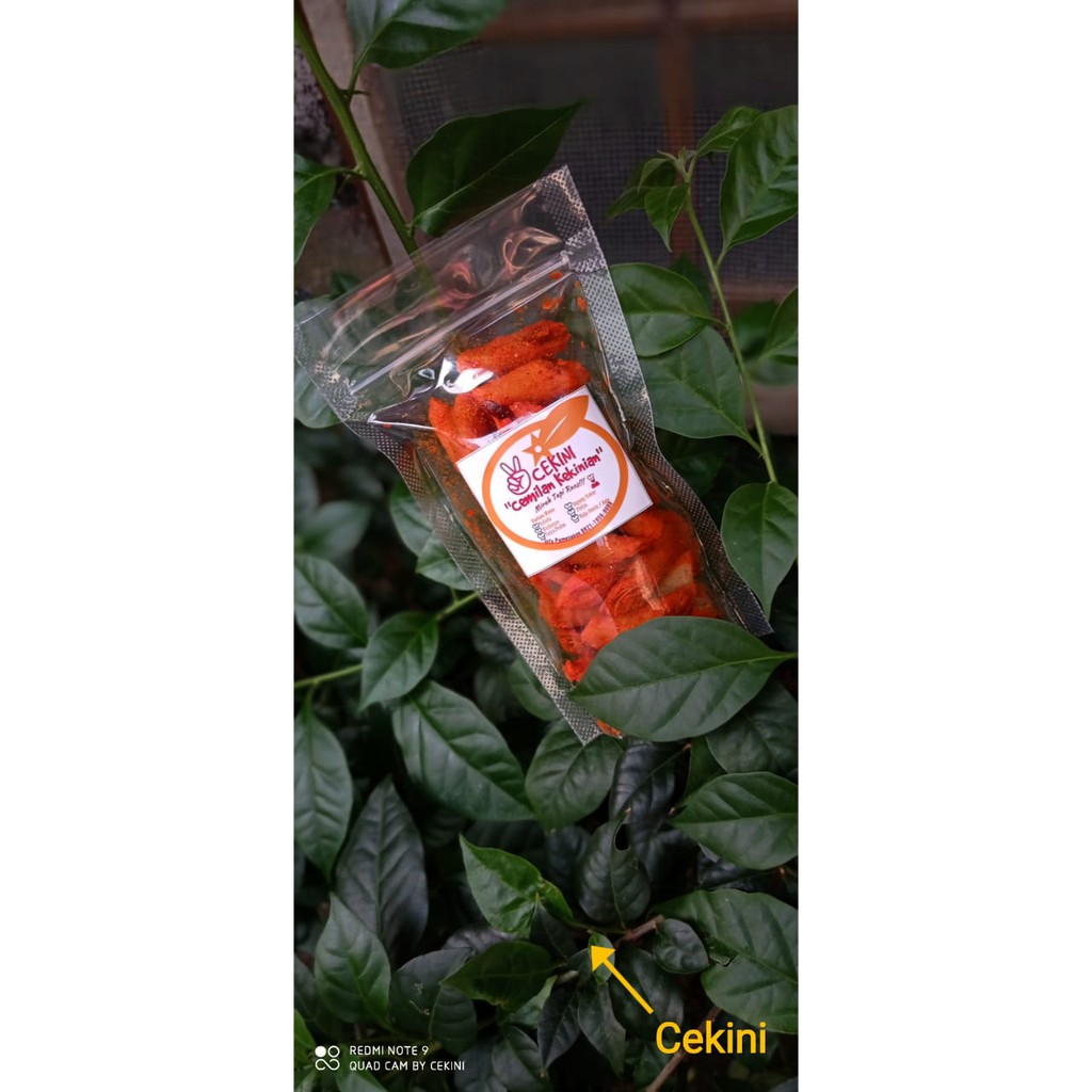 

TERMURAH Snack Kripik Lumpia uk 80 gr