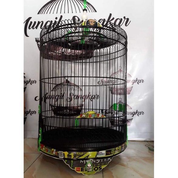 sangkar murai batu / sangkar murai Boomber / sangkar boomber / sangkar decal / sangkar bulat / sangk