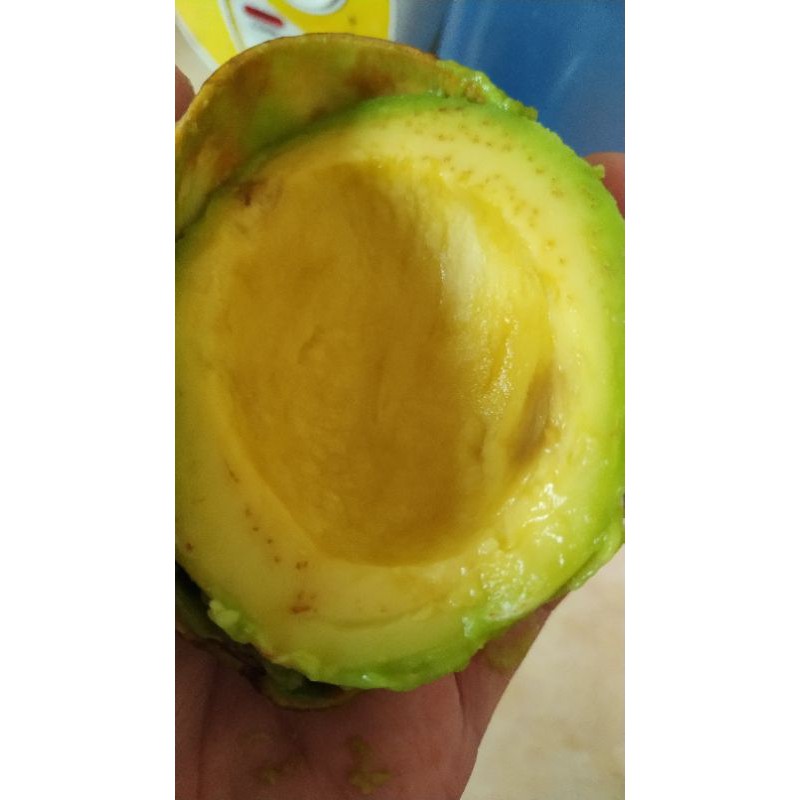 

Apukat mentega aceh