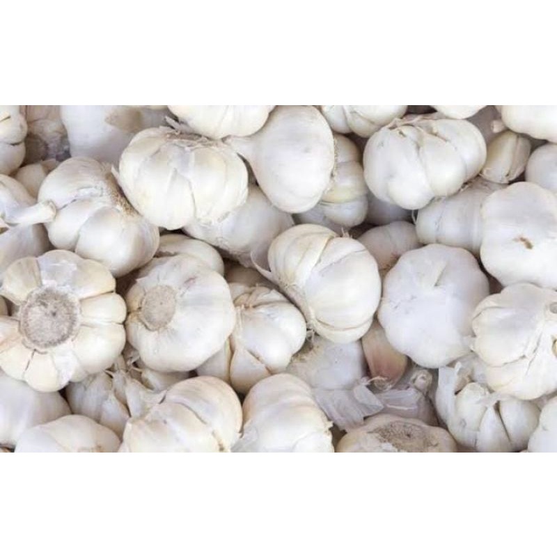 

Bawang putih 250 gr