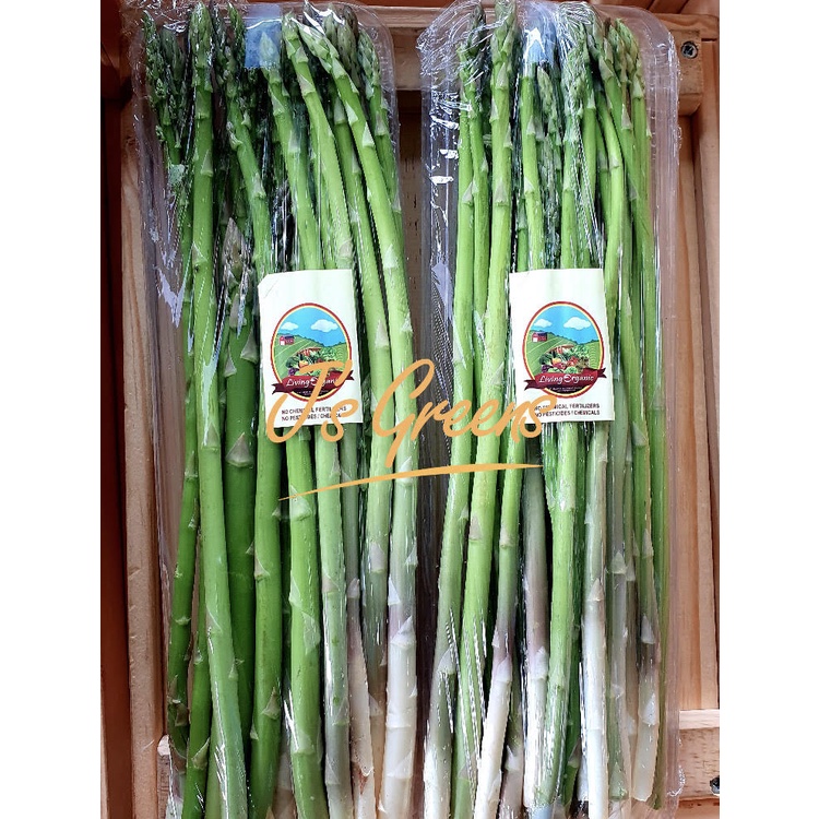 

Asparagus Organik Living Organic 250gr
