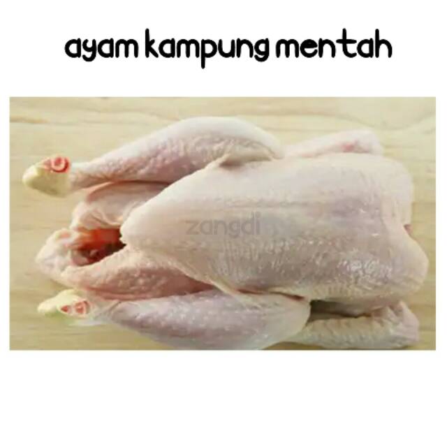 

Ayam kampung asli (mentah.utuh)