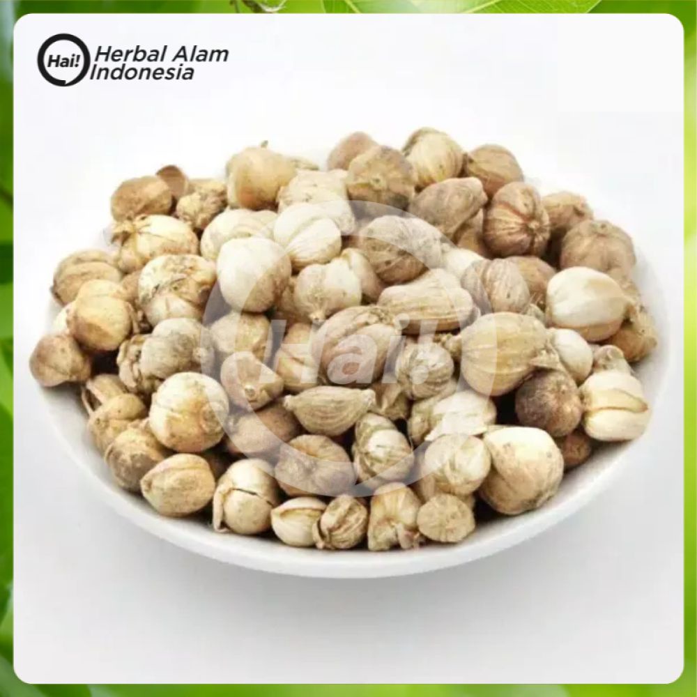 

KAPOL KAPULAGA KERING 500 GRAM HAI STORE