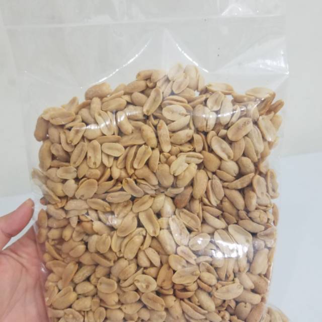 

Kacang bali super