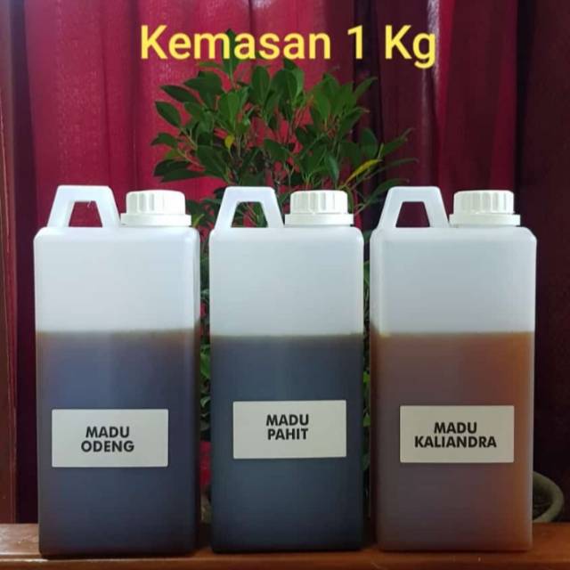 

Madu asli,Madu odeng,Madu pahit, madu kaliandra