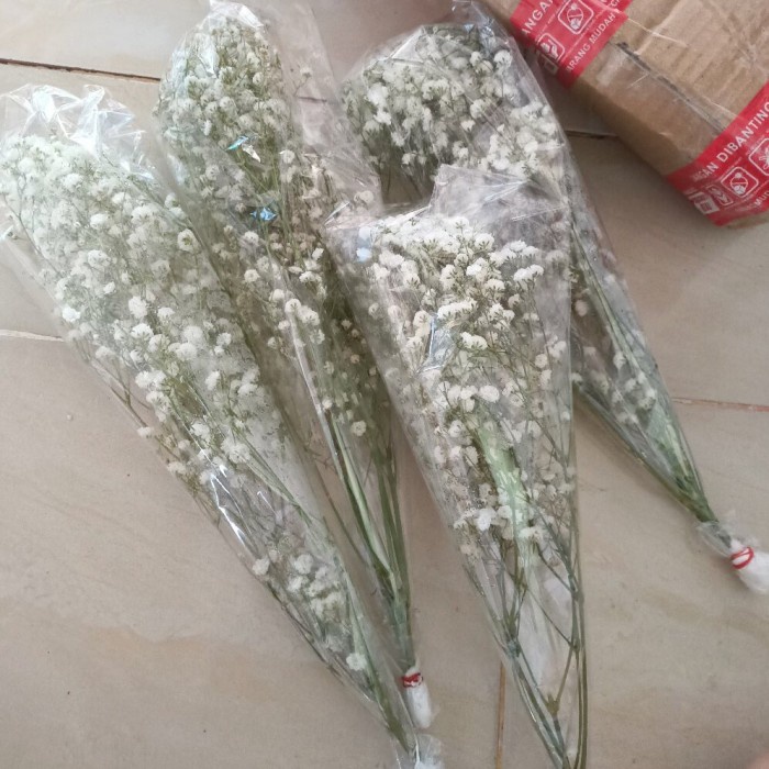 Bunga- Natural Baby Breath Impor Asli Fresh / Bunga Gypsophila Baby'S -Bunga.
