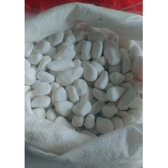 Batu Koral Kupang Putih Karungan Coral Hiasan Pot Tanaman Aquascape