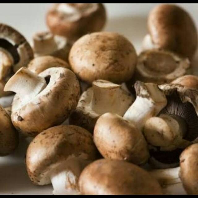 Jamur Shitake segar / Shitake Fresh Mushroom / hioko (0,5kg)