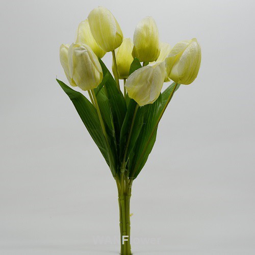 WANFLOWER Bunga Tulip T38 X9 * HIJAU