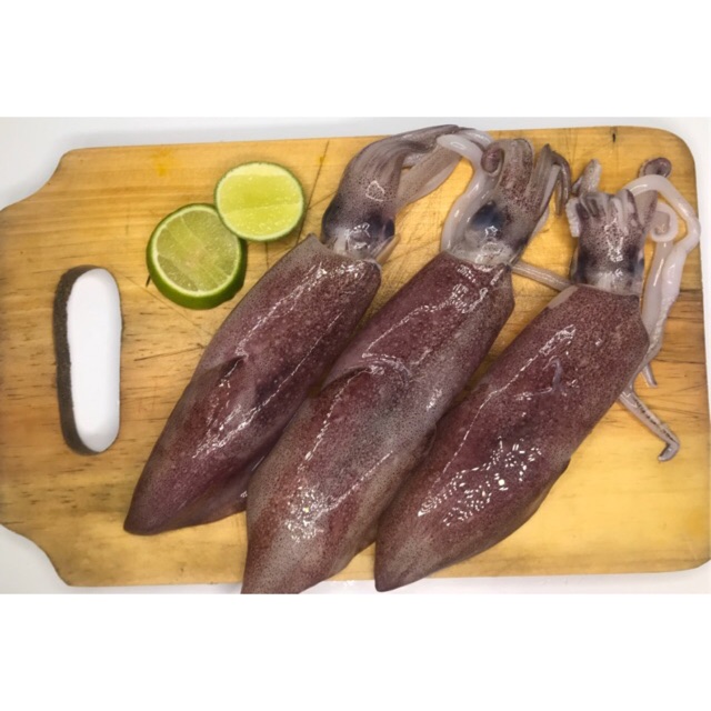 

Cumi-Cumi Fresh 1 kg