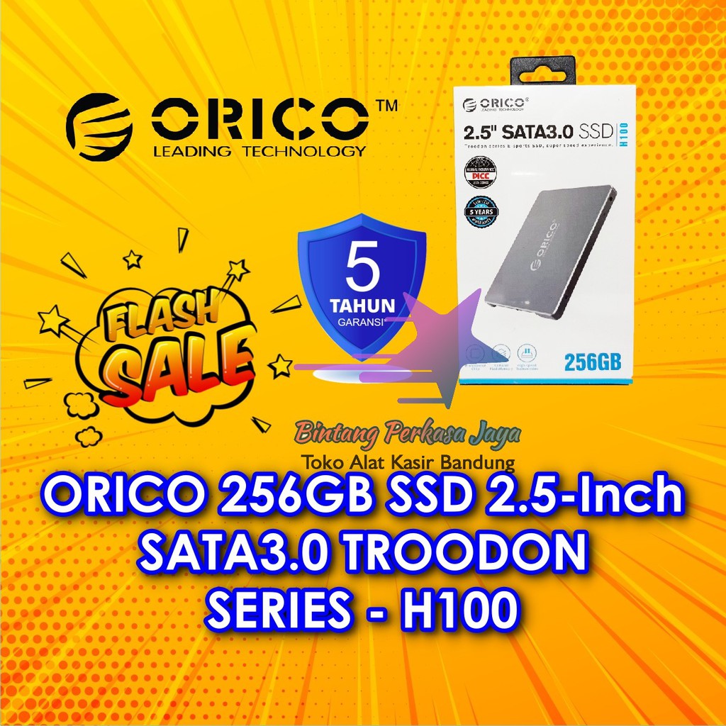 ORICO 256GB SSD 2.5-Inch SATA3.0 TROODON SERIES - H100