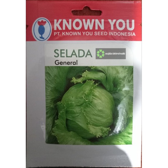 Benih Selada General Pouch (Known You)