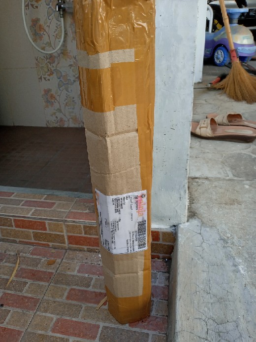 Murah Bibit Pohon Bidara Arab Unggul