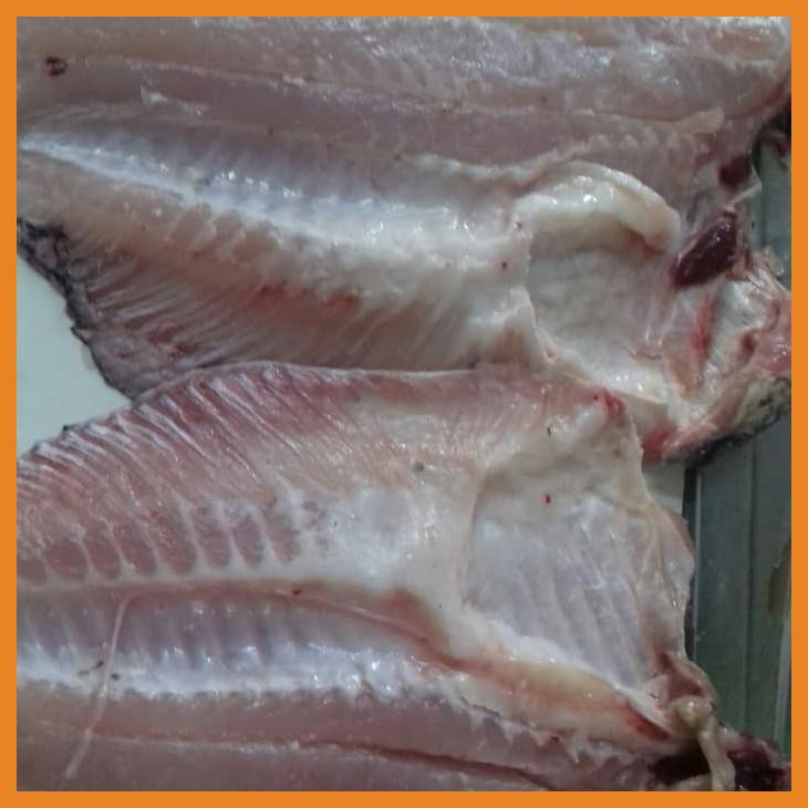 IKAN GURAME FILLET 1KG/PACK | Shopee Indonesia