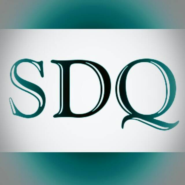 sdq_store