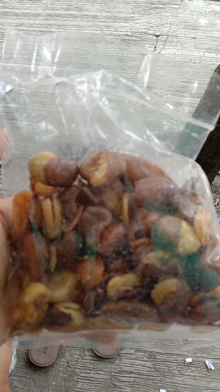 Engsel Kaca Jepit Pivot Single Komplit +push +magnit (glass Hinge)