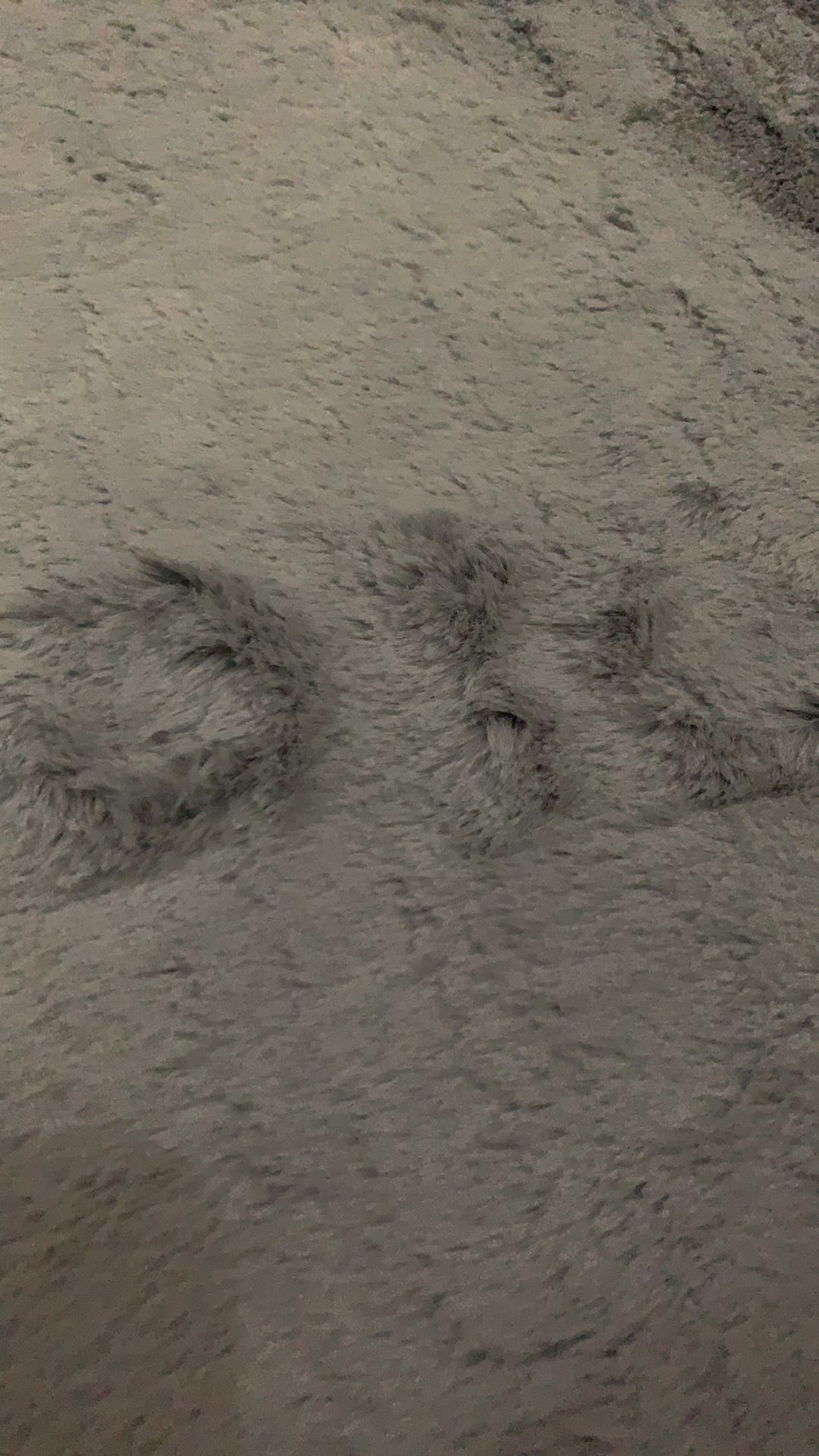 Super Soft Fur Rug / Size 150 X 200cm