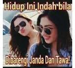 Paket 3 Bibit Mangga Kiojai Supermurah