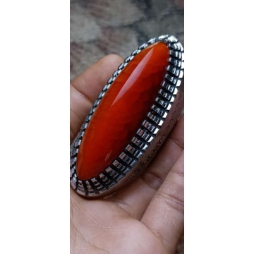 pandan merah rudal sisik betok