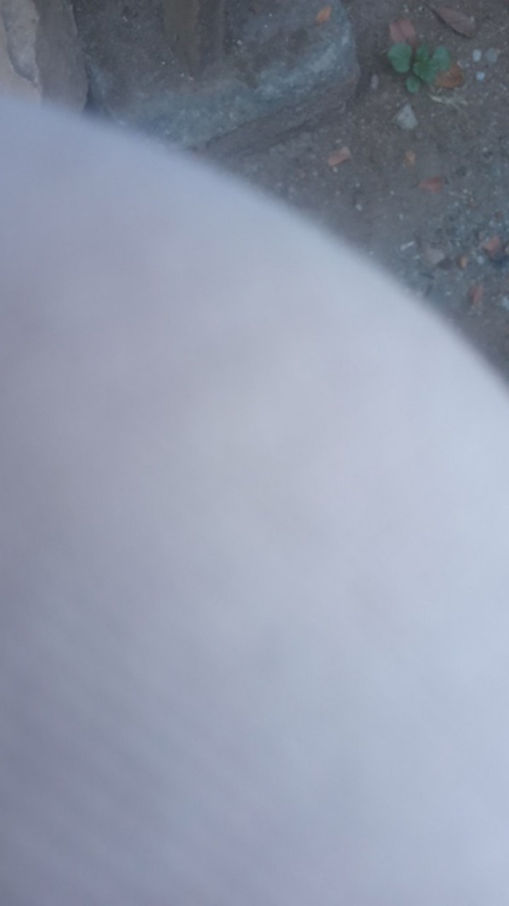 Mata Gergaji Band Saw 8 Ryu - Nrt Rbs8