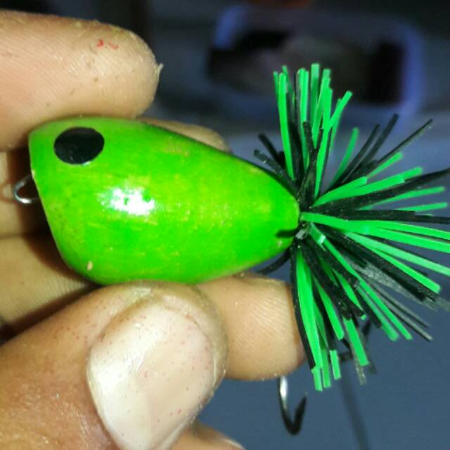 

JumpFrog Bulat #umpantiruan