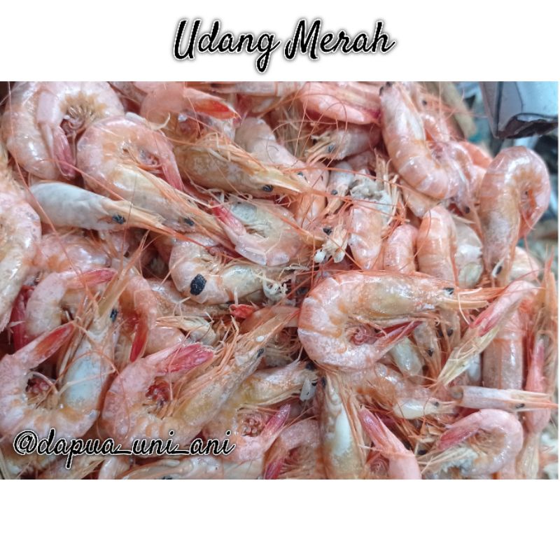 

UDANG MERAH ASIN