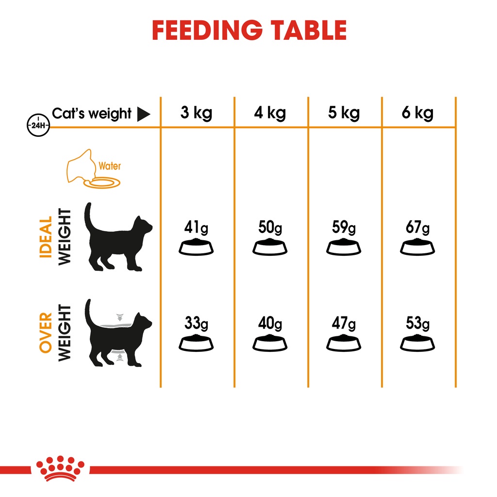 ROYAL CANIN British Shorthair Kitten Dry Cat Food 400gr  / Makanan Kucing