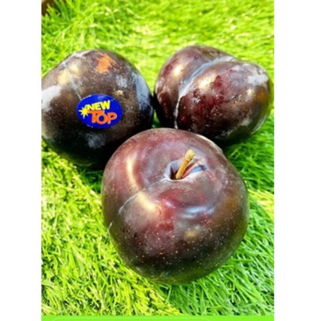 

Buah Black Plum/Plum hitam