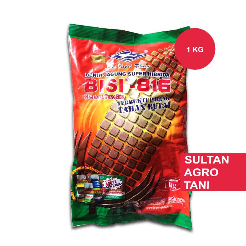 Benih jagung bisi 816 1 kg hibrida f1 super tahan bulai