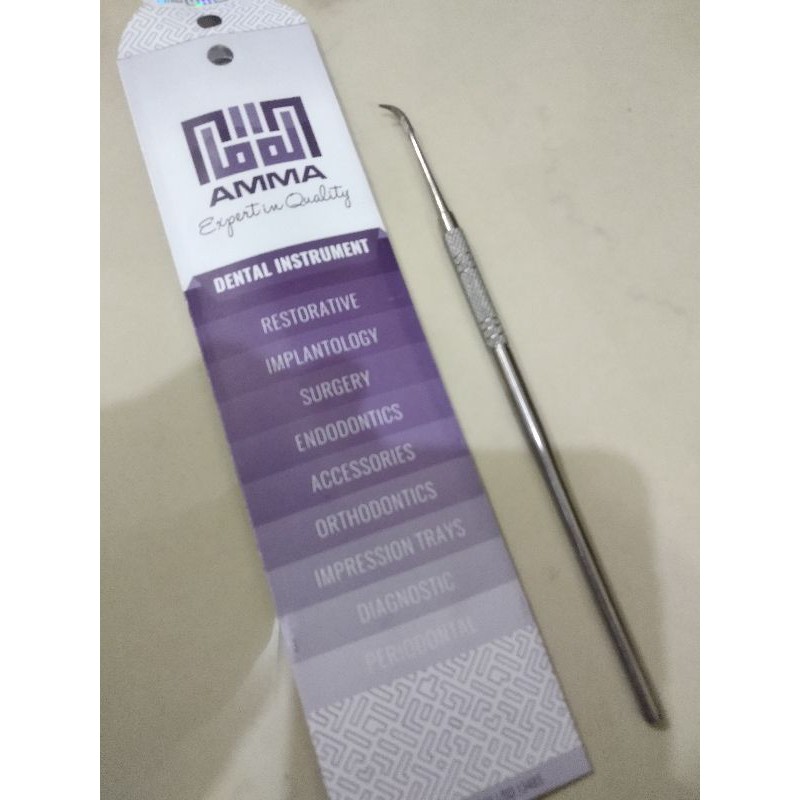 Skaler Manual alat pembersih karang gigi Chisel dental Instrument