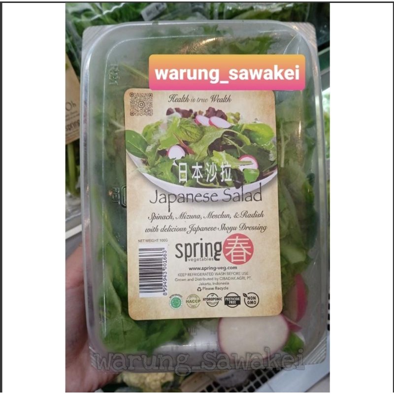 

Spring Japanese Salad pack