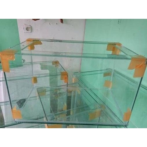 Aquarium ukuran 50 x 30 x 30 cm